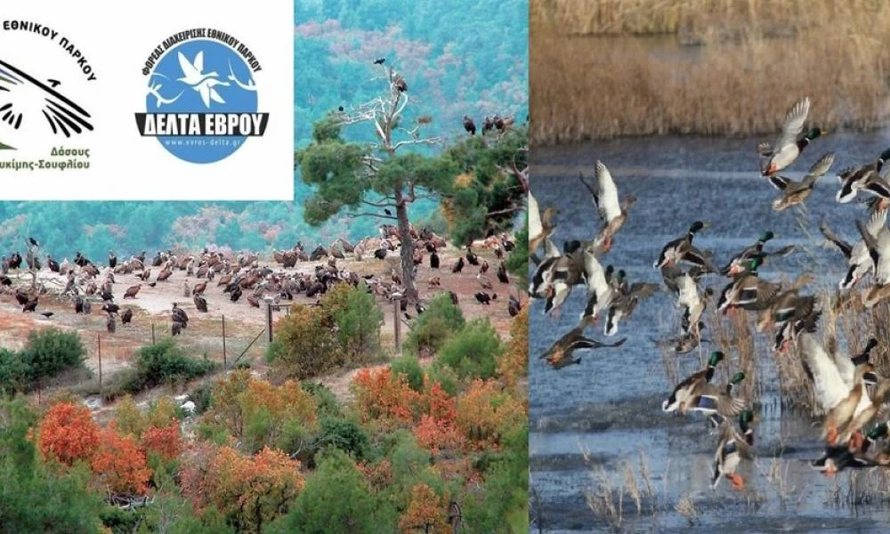 Η...Ελλαδάρα των συνδικαλιστών! ''Έφαγαν πόρτα'' στο Εθνικό πάρκο και στο Δέλτα Έβρου